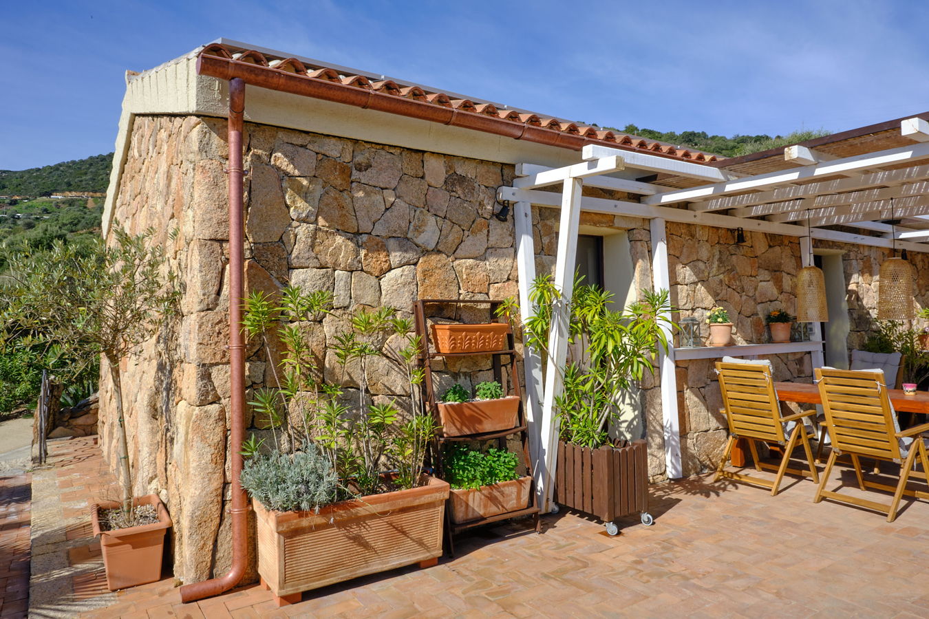 Oleander, Kräuter und andere Pflanzen auf der Terrasse des Ferienhauses.